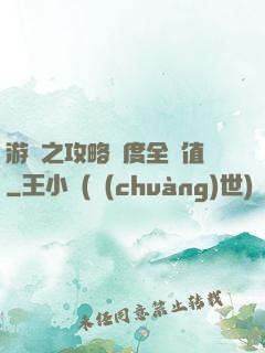 游戲之攻略進度全滿值