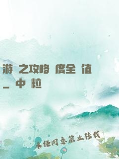 游戲之攻略進度全滿值