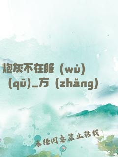 炮灰不在服務(wù)區(qū)