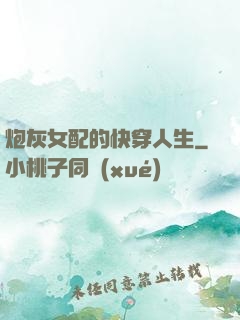 炮灰女配的快穿人生