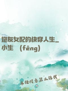 炮灰女配的快穿人生