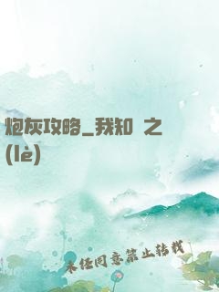 炮灰攻略