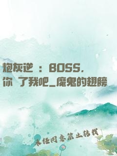 炮灰逆襲：BOSS，你從了我吧
