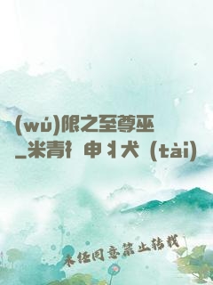 無(wú)限之至尊巫師