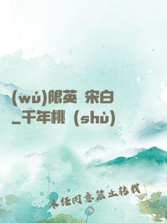 無(wú)限英靈宋白傳