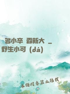 無名小卒稱霸新大陸