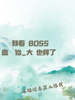 無敵從我看見BOSS血條開始
