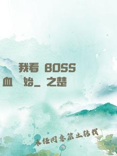 無敵從我看見BOSS血條開始