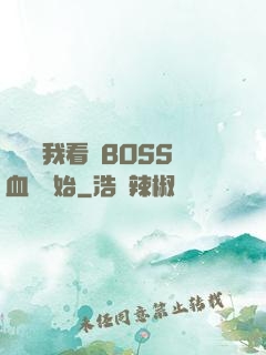 無敵從我看見BOSS血條開始
