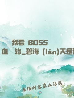 無敵從我看見BOSS血條開始