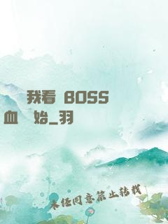 無敵從我看見BOSS血條開始