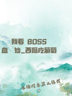 無敵從我看見BOSS血條開始