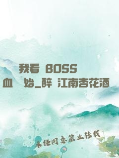 無敵從我看見BOSS血條開始