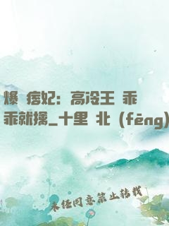 爆寵痞妃：高冷王爺乖乖就擒