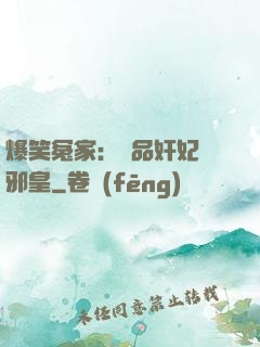 爆笑冤家：極品奸妃戲邪皇