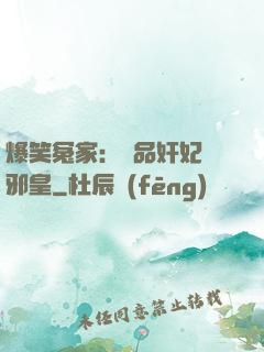 爆笑冤家：極品奸妃戲邪皇