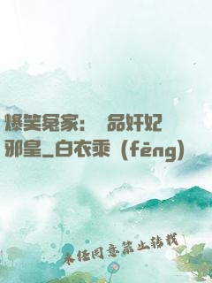 爆笑冤家：極品奸妃戲邪皇