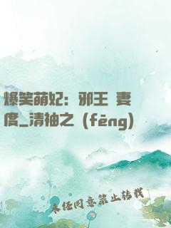 爆笑萌妃：邪王寵妻無度