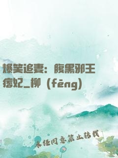 爆笑追妻：腹黑邪王戲痞妃