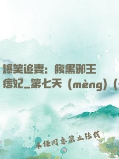 爆笑追妻：腹黑邪王戲痞妃