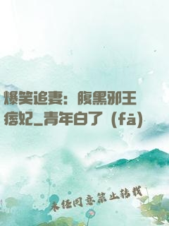 爆笑追妻：腹黑邪王戲痞妃