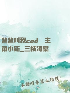 爸爸叫我cod媽媽主角小新