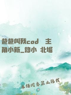 爸爸叫我cod媽媽主角小新