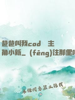 爸爸叫我cod媽媽主角小新