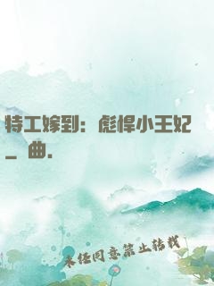 特工嫁到：彪悍小王妃