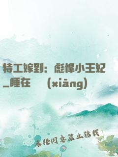 特工嫁到：彪悍小王妃