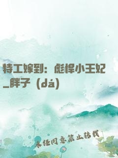 特工嫁到：彪悍小王妃
