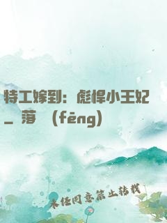 特工嫁到：彪悍小王妃