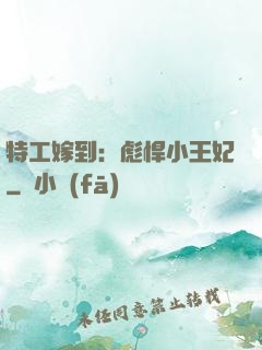 特工嫁到：彪悍小王妃