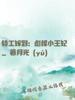 特工嫁到：彪悍小王妃