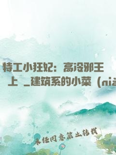 特工小狂妃：高冷邪王寵上癮