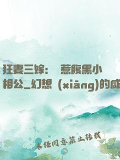 狂妻三嫁：誤惹腹黑小相公