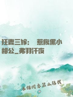 狂妻三嫁：誤惹腹黑小相公