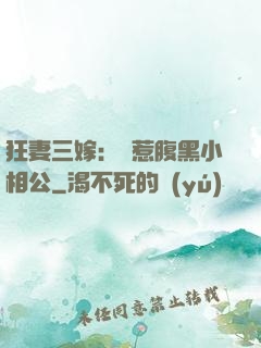 狂妻三嫁：誤惹腹黑小相公