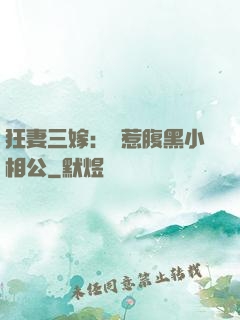 狂妻三嫁：誤惹腹黑小相公