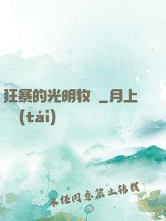 狂暴的光明牧師