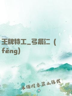 王牌特工