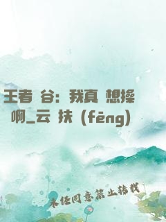 王者峽谷：我真沒想操盤啊