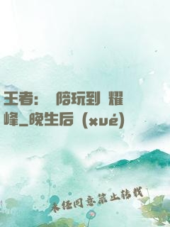 王者：從陪玩到榮耀巔峰