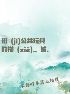 班級(jí)公共玩具的描寫(xiě)