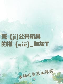 班級(jí)公共玩具的描寫(xiě)