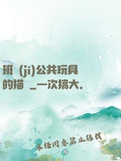 班級(jí)公共玩具的描寫