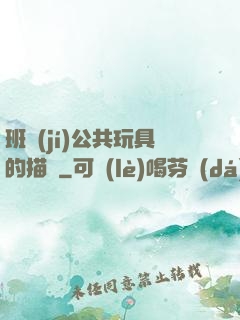 班級(jí)公共玩具的描寫