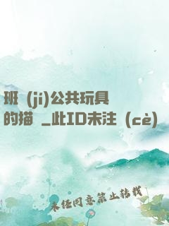 班級(jí)公共玩具的描寫