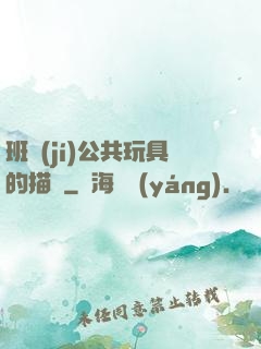 班級(jí)公共玩具的描寫