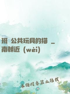 班級公共玩具的描寫